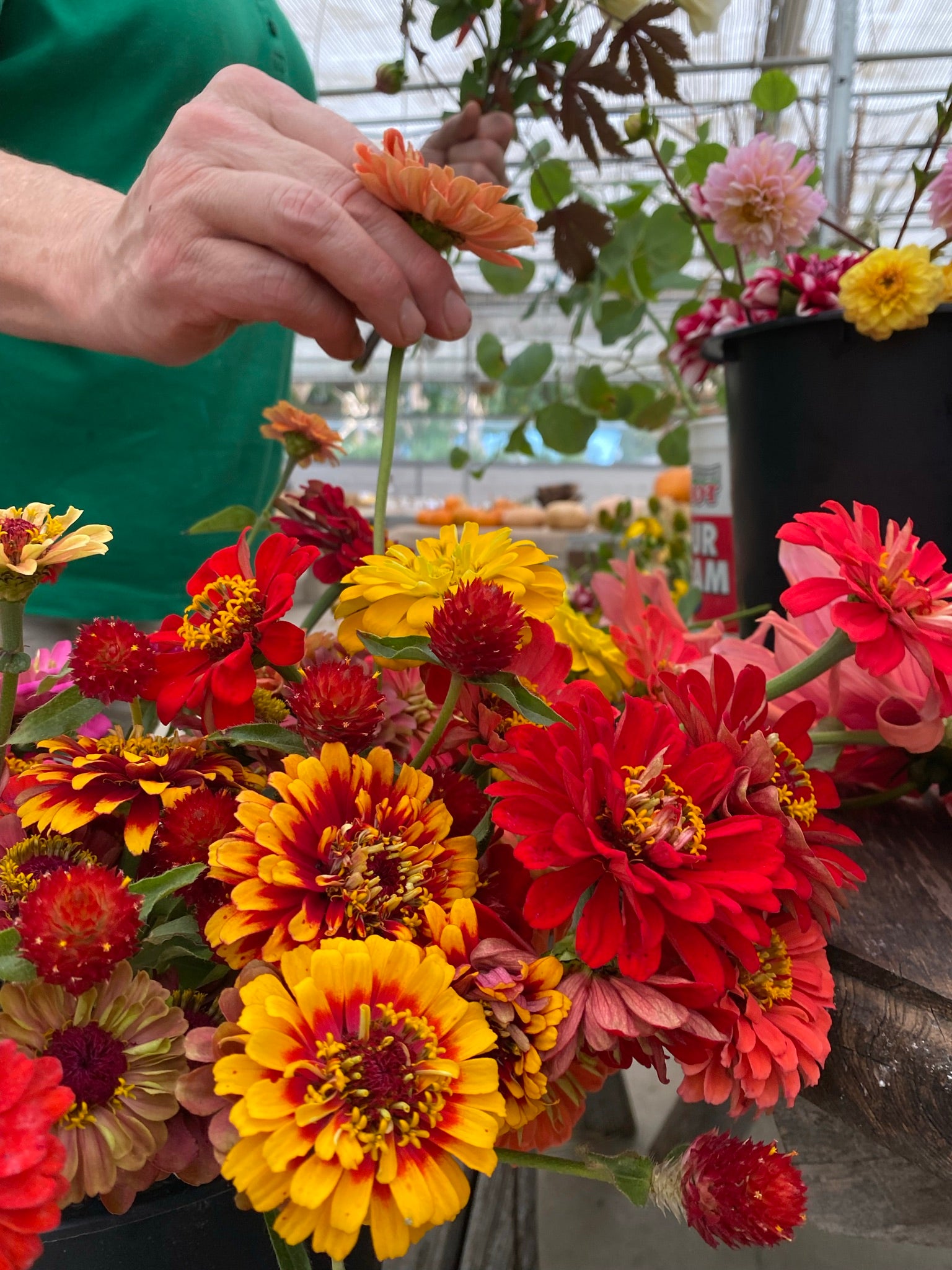 Railroad Day Farm Events
