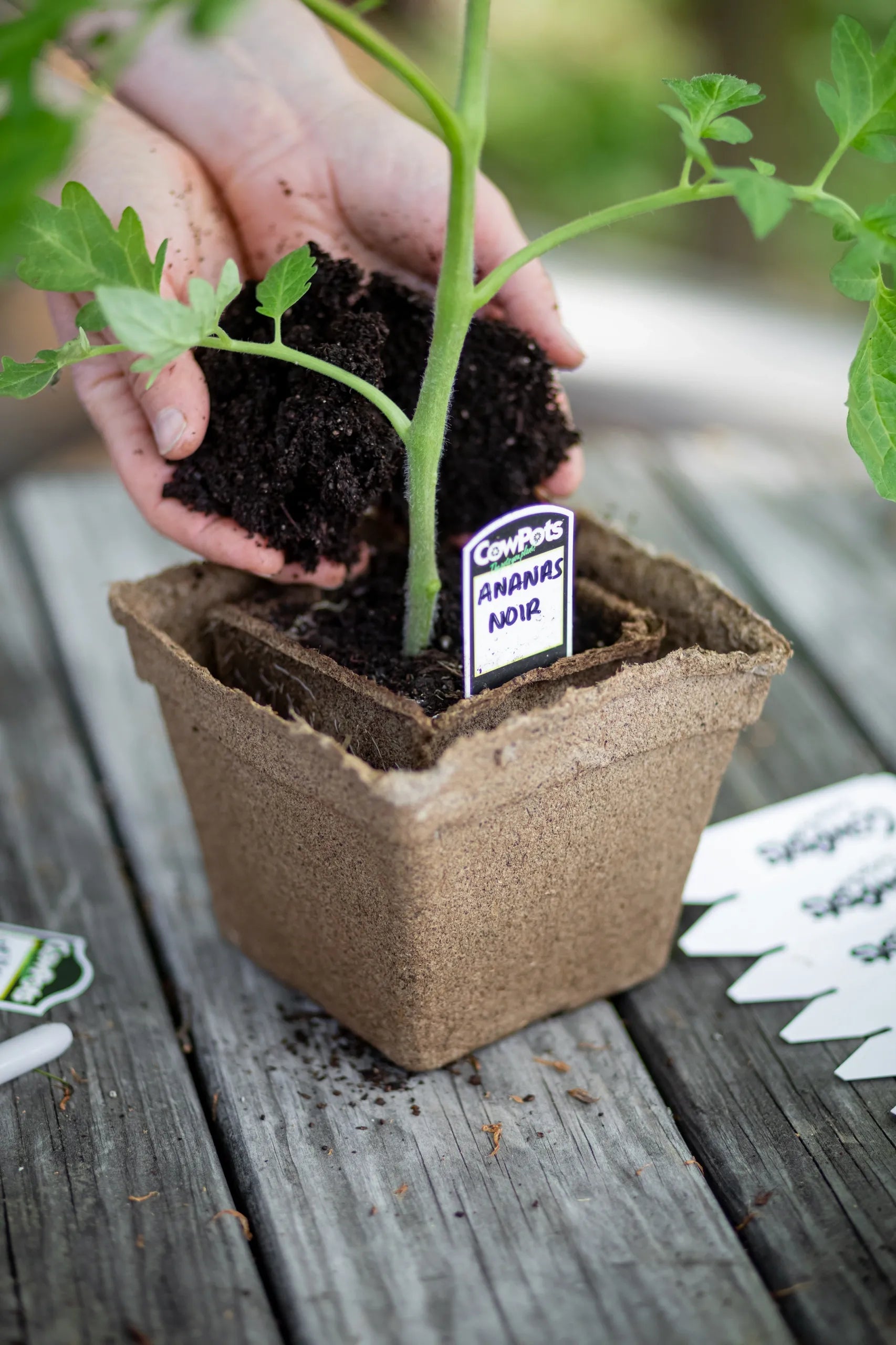 CowPots Plant Tags