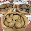 Holiday Contributions for Fishes & Loaves