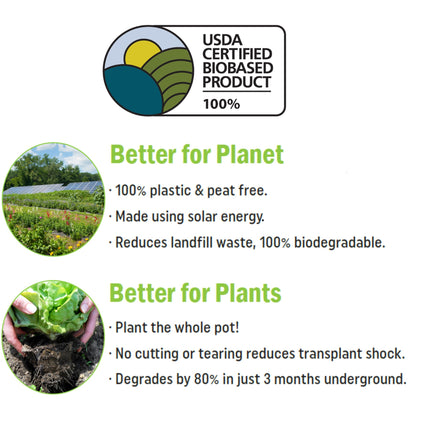 Seed Starting Mixed CowPots Case