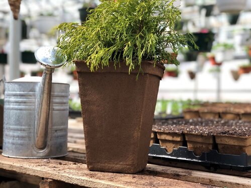 #11 Square Tall CowPots