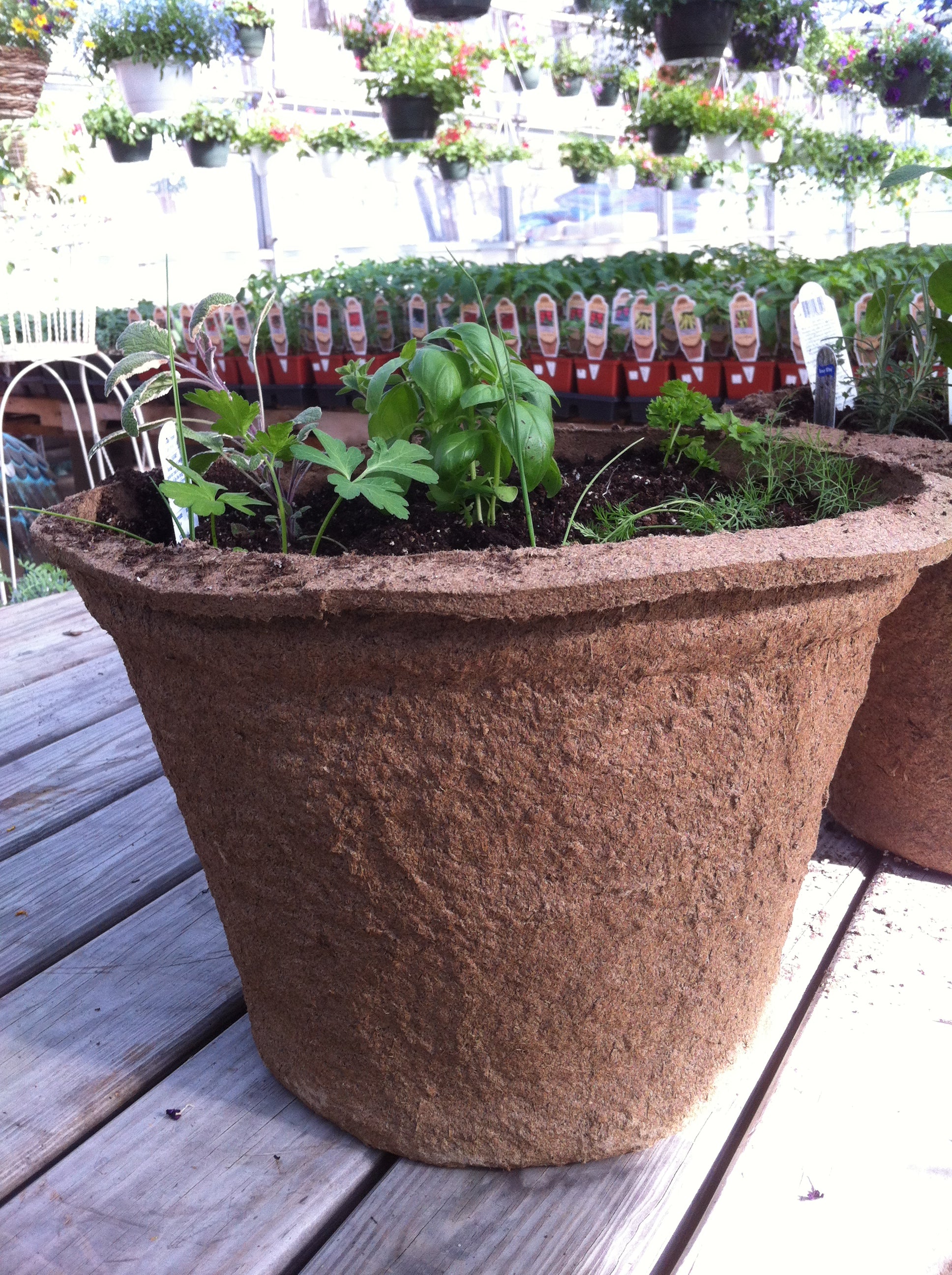 biodegradable plant pots wilko 17 Round CowPots – Freund's Farm Market & Bakery